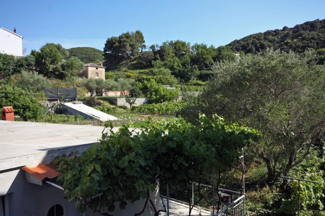 Family Friendly Apartments With A Swimming Pool Supetarska Draga - Donja, Rab - 2019 מראה חיצוני תמונה